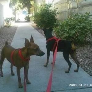 Meet your Posher, Leah